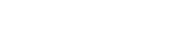 스킨부스터