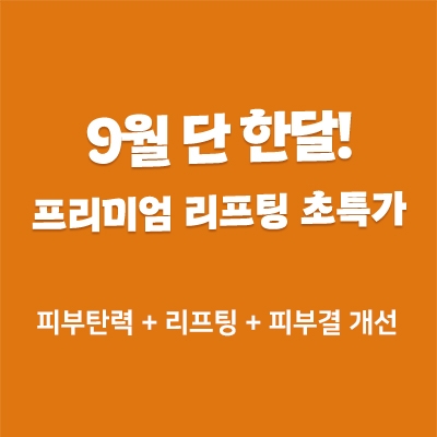 프리미엄 리프팅